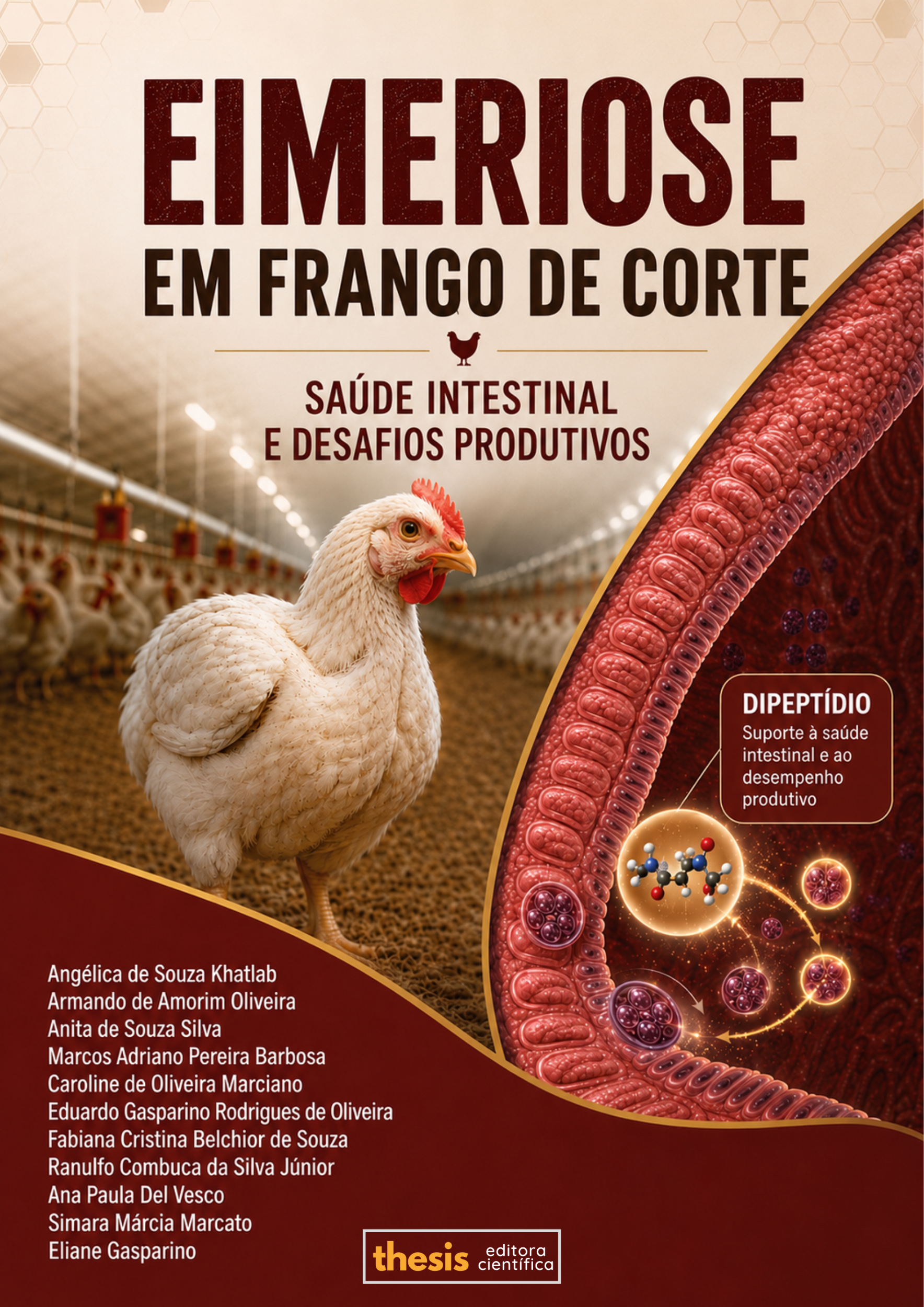Eimeriose em frango de corte: saúde intestinal e desafios produtivos