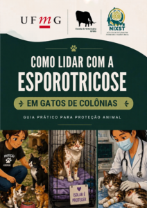 Como lidar com esporotricose em gatos de colônias: guia prático para proteção animal